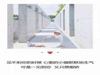 徐州鼎美文化传媒有限公司