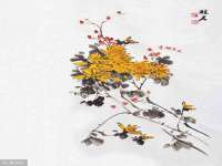 徐州鼎美文化传媒有限公司