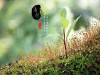 徐州鼎美文化传媒有限公司