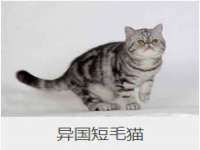 徐州鼎美文化传媒有限公司