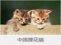 徐州鼎美文化传媒有限公司