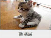 徐州鼎美文化传媒有限公司