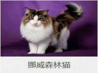 徐州鼎美文化传媒有限公司