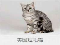 徐州鼎美文化传媒有限公司