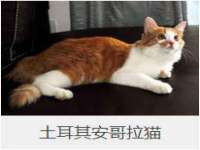 徐州鼎美文化传媒有限公司