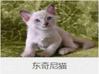 徐州鼎美文化传媒有限公司