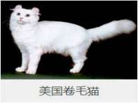 徐州鼎美文化传媒有限公司