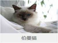 徐州鼎美文化传媒有限公司