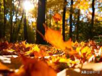 徐州鼎美文化传媒有限公司