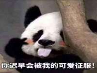 徐州鼎美文化传媒有限公司