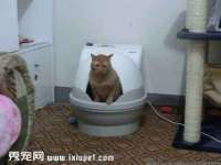 徐州鼎美文化传媒有限公司