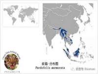 徐州鼎美文化传媒有限公司