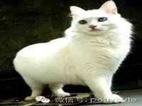 徐州鼎美文化传媒有限公司
