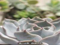 徐州鼎美文化传媒有限公司