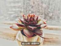 徐州鼎美文化传媒有限公司