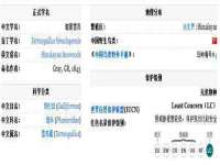 徐州鼎美文化传媒有限公司