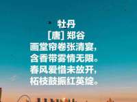 徐州鼎美文化传媒有限公司