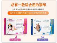 徐州鼎美文化传媒有限公司