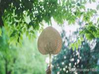 徐州鼎美文化传媒有限公司