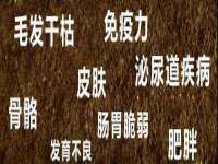 徐州鼎美文化传媒有限公司