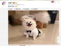 徐州鼎美文化传媒有限公司