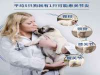徐州鼎美文化传媒有限公司
