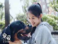 徐州鼎美文化传媒有限公司
