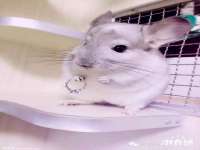 徐州鼎美文化传媒有限公司