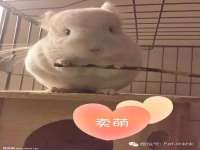 徐州鼎美文化传媒有限公司