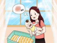 徐州鼎美文化传媒有限公司