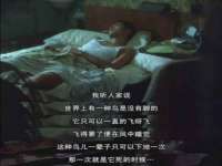 徐州鼎美文化传媒有限公司