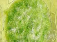 徐州鼎美文化传媒有限公司
