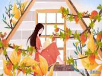 徐州鼎美文化传媒有限公司