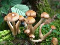 徐州鼎美文化传媒有限公司