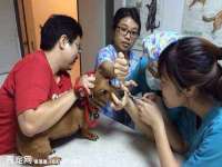 徐州鼎美文化传媒有限公司