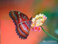 徐州鼎美文化传媒有限公司