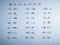 徐州鼎美文化传媒有限公司